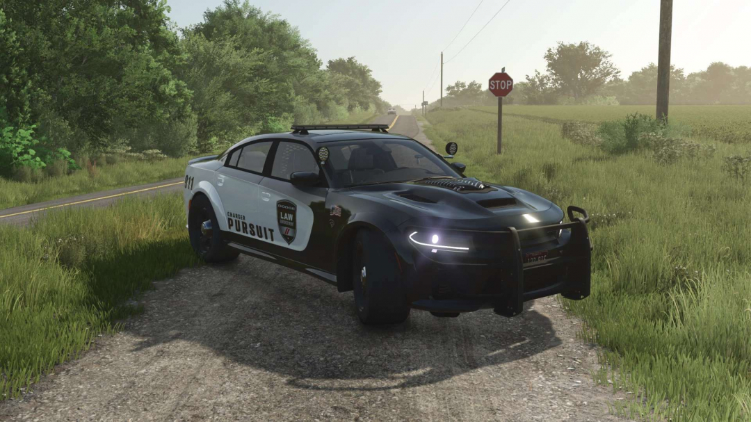Dodge Charger Hellcat 2022 v1.0