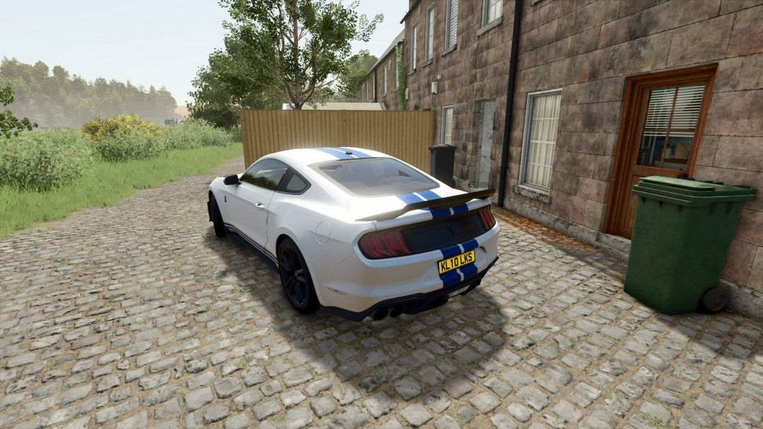 Ford Mustang Shelby GT500 2020 V1.0