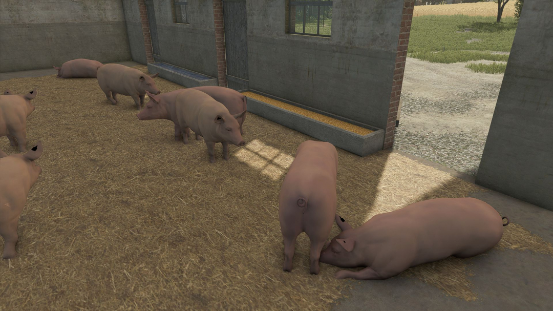 Little Pigsty V1.0