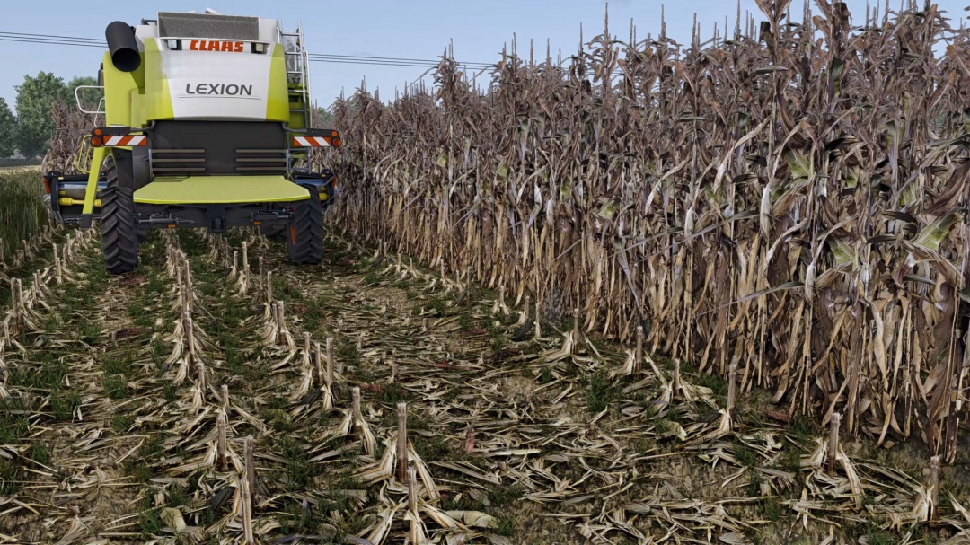 Maize Overhaul V1.0