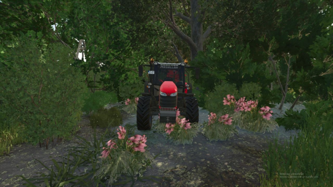 Massey Ferguson Torklu 5713 V1.1