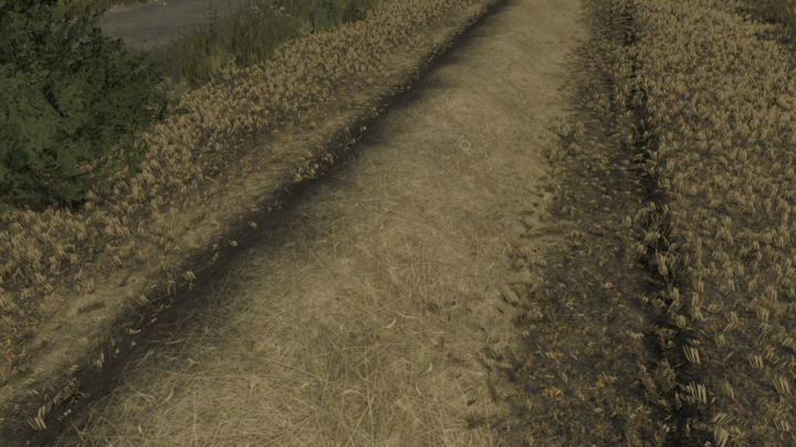 fs25-mods,  Straw and stubble texture V1.0