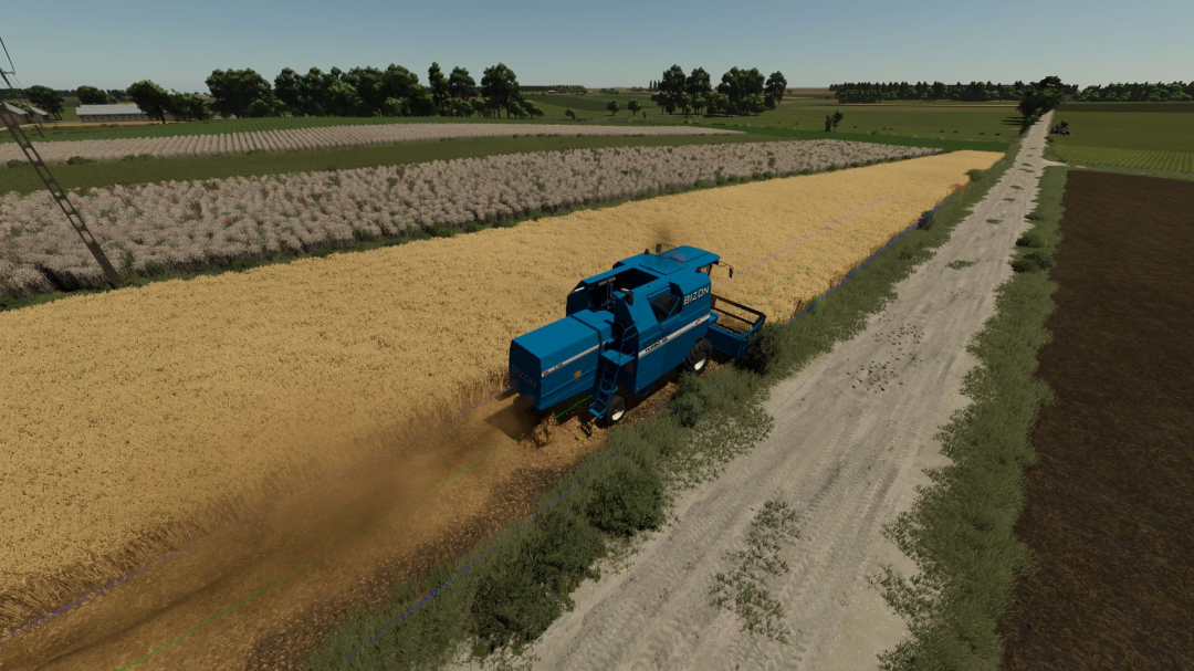 Bizon Dynamic V2.1.3.7