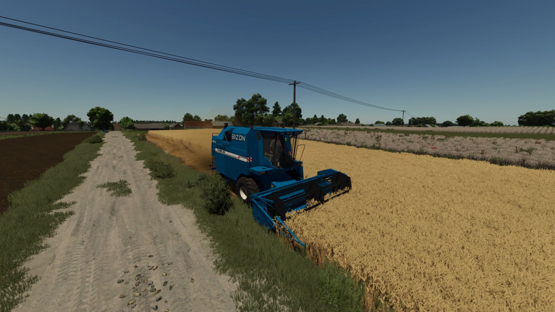 Bizon Dynamic V2.1.3.7