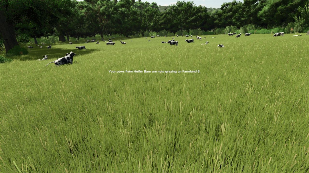 To Pasture And Back V1.0
