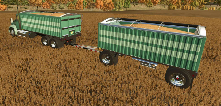 fs25-mods, Kann Grain Pup v1.0