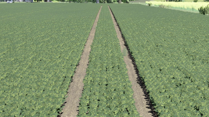 fs25-mods,  Thicker soy V1.0