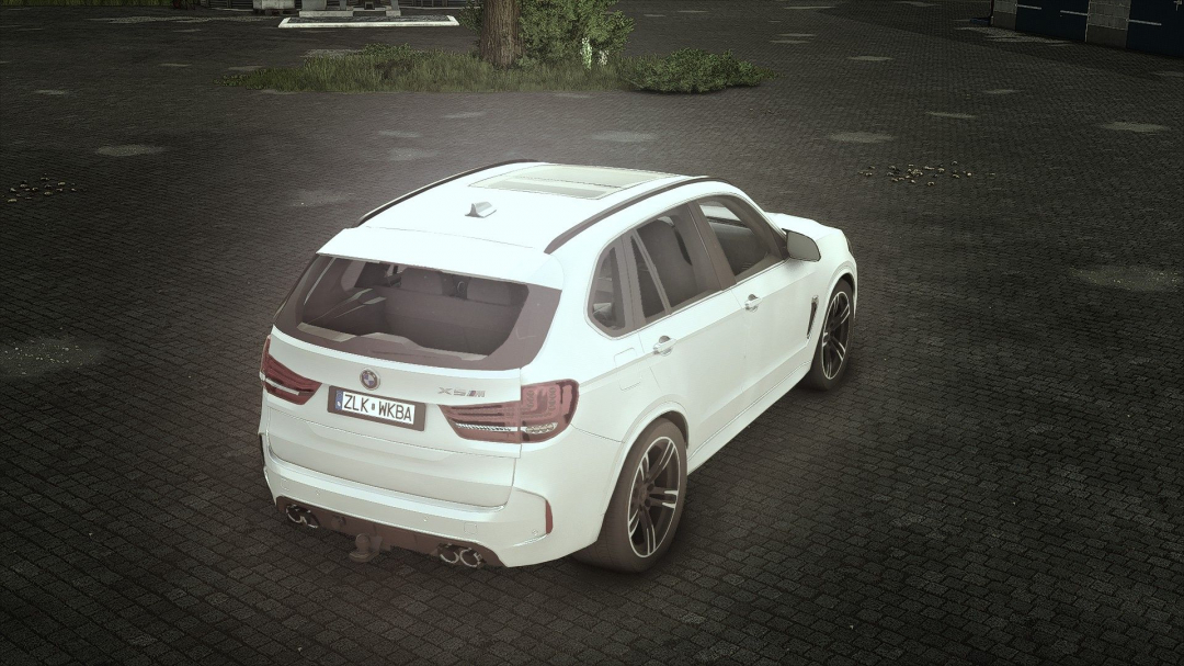 BMW X5M V1.0.0.2