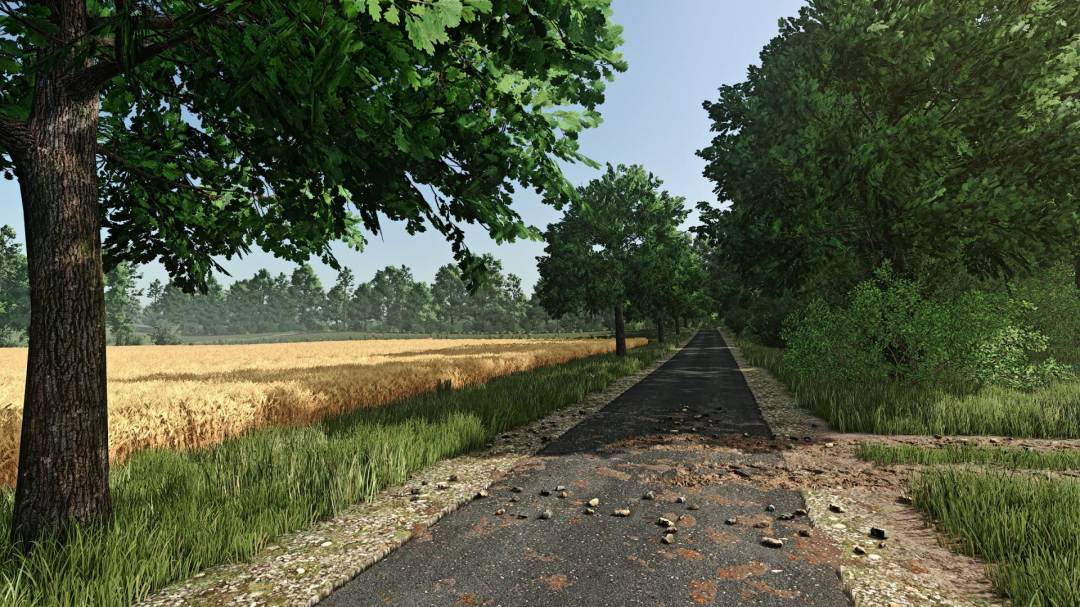 FS Realistic Shader V2.1