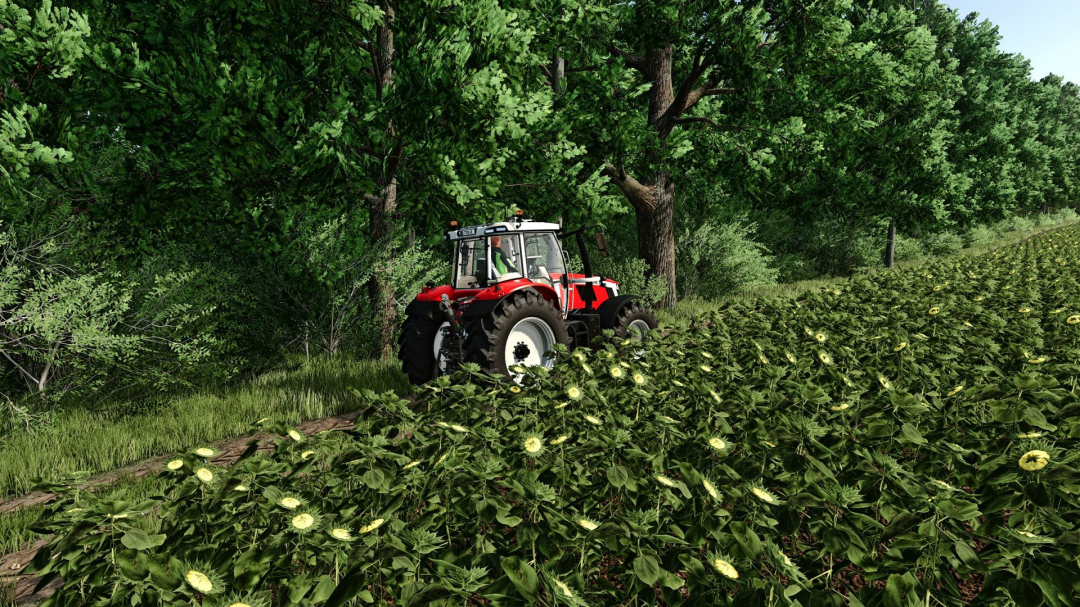 FS Realistic Shader V2.1
