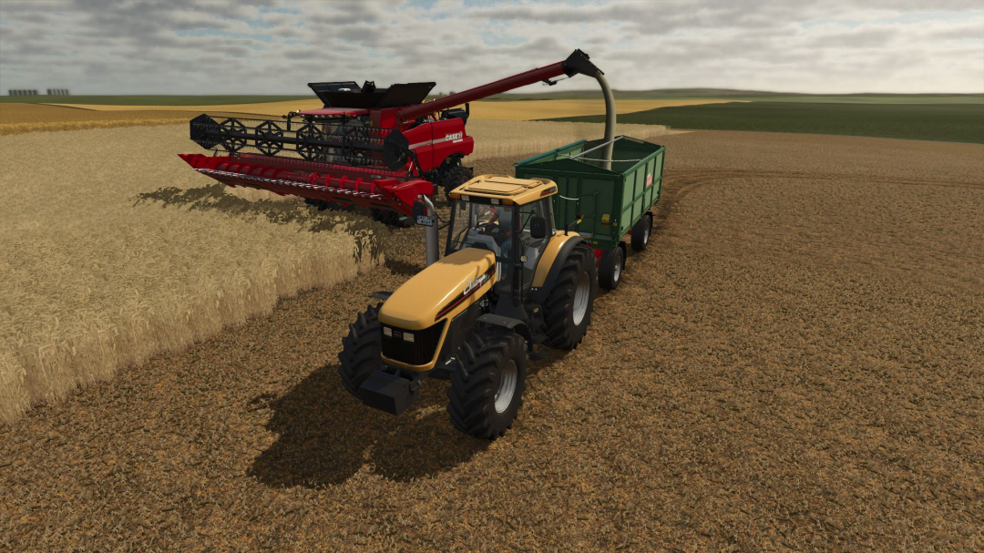 Field processing system KALYM v1.0