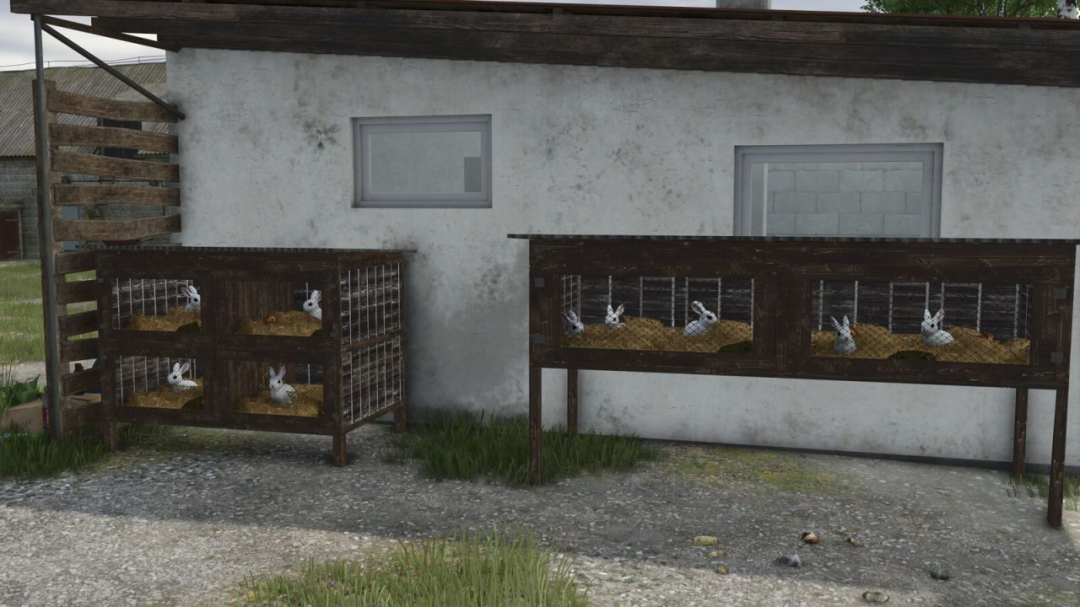 Rabbit Cages V1.0