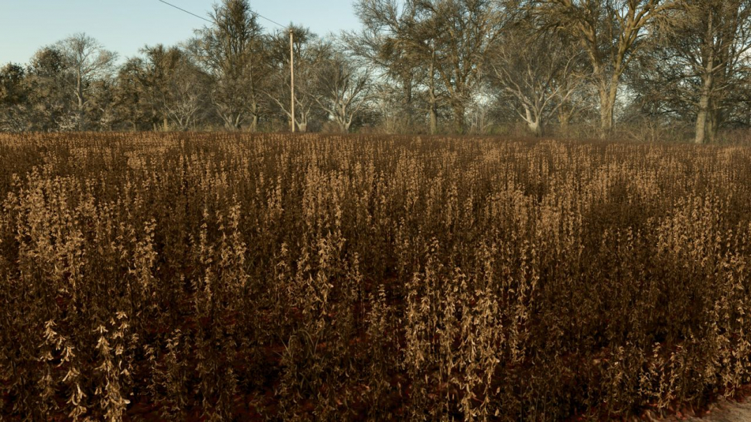 Improved Soybean Textures With Destructible Stubble (Prefab) V1.1