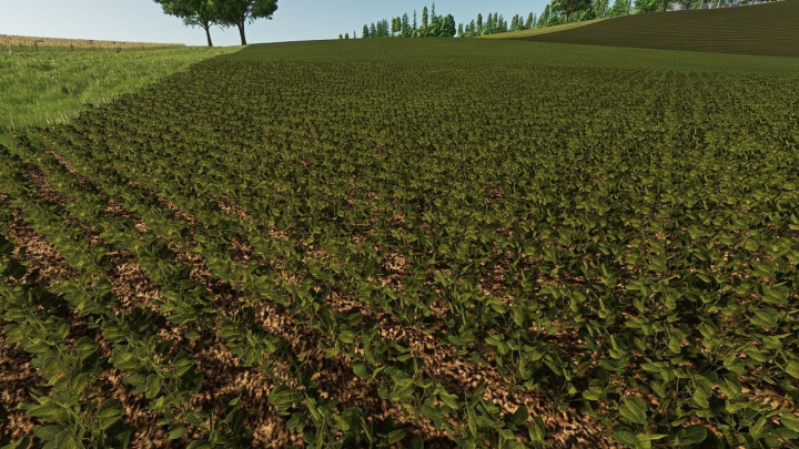 fs25-mods,  Fababean – broad beans (Prefab) V1.0