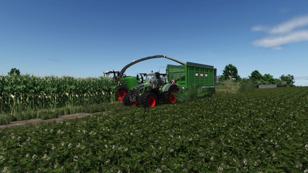 Hawe SLW 25 TN V1.1