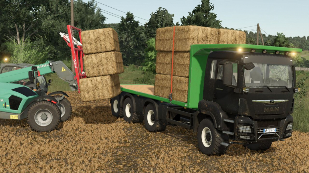 MAN TGS 18.500 Flatbed Autoload V1.5