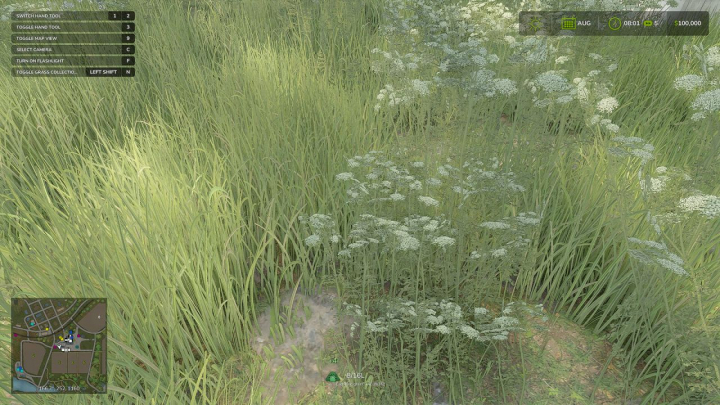 fs25-mods,  Grass Collection V1.0