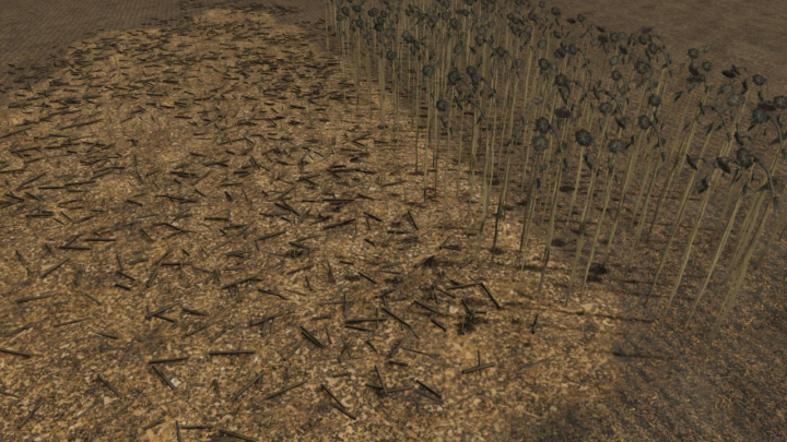 fs25-mods, New sunflower foliage V1.0