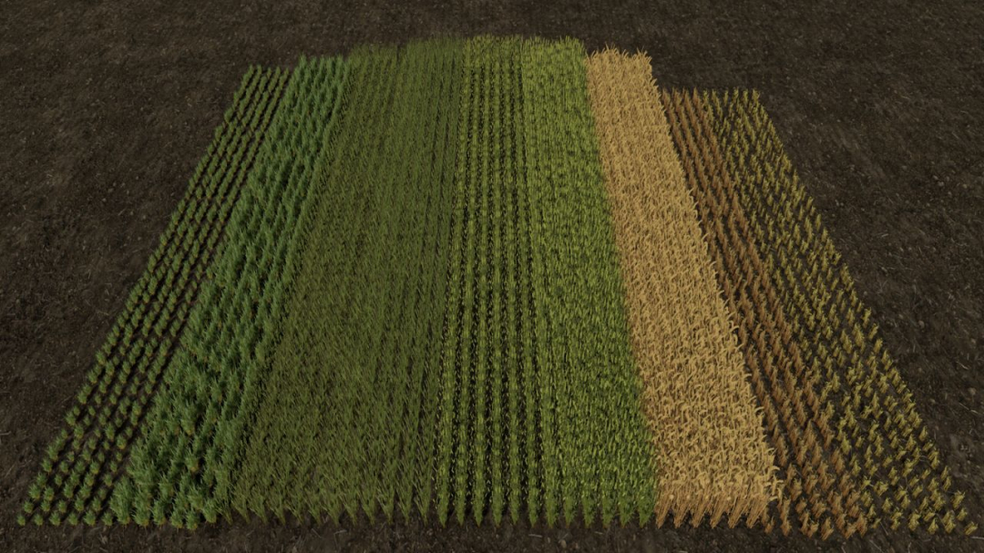 Row Seeding Barley, Oat, Wheat, Canola, Mulitfruit (Prefab) V1.2