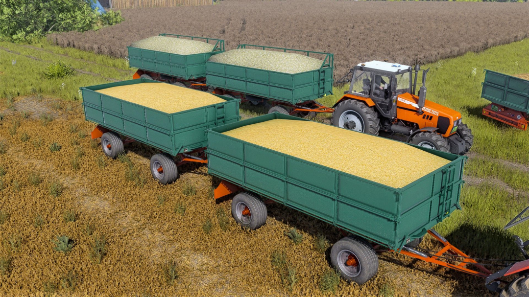 Zmaj Farma Kanas V1.0