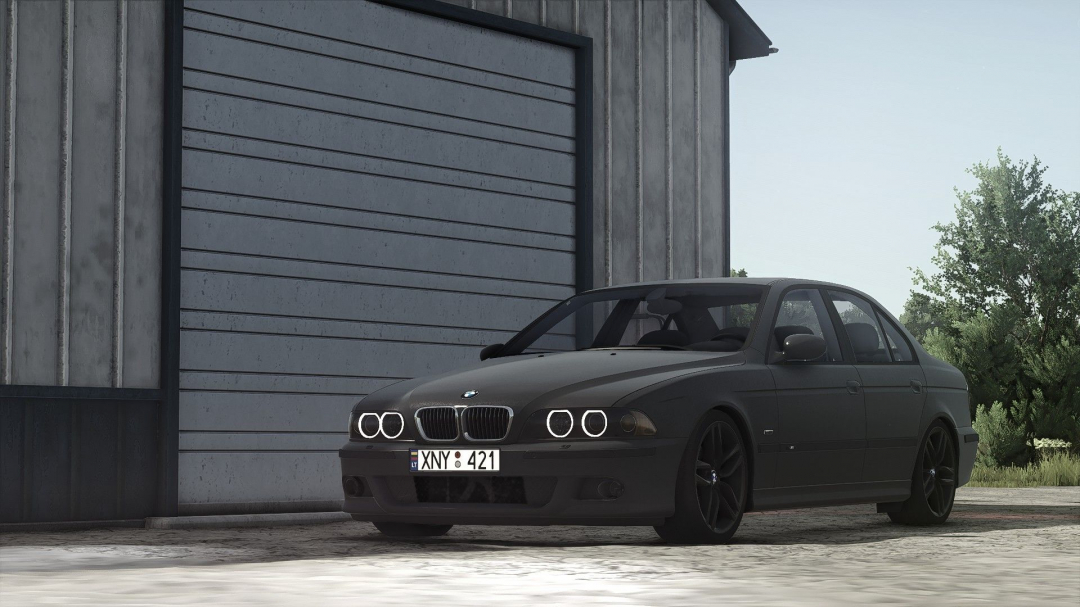 BMW E39 V1.0.0.8