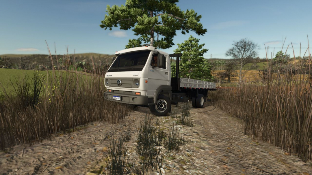 Volkswagen Delivery 9.150 V1.0