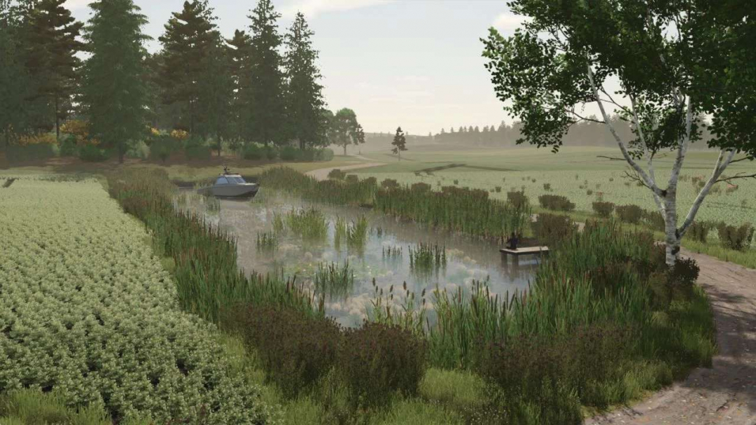 Borowiny v1.0