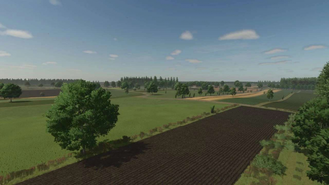 Borowiny v1.0