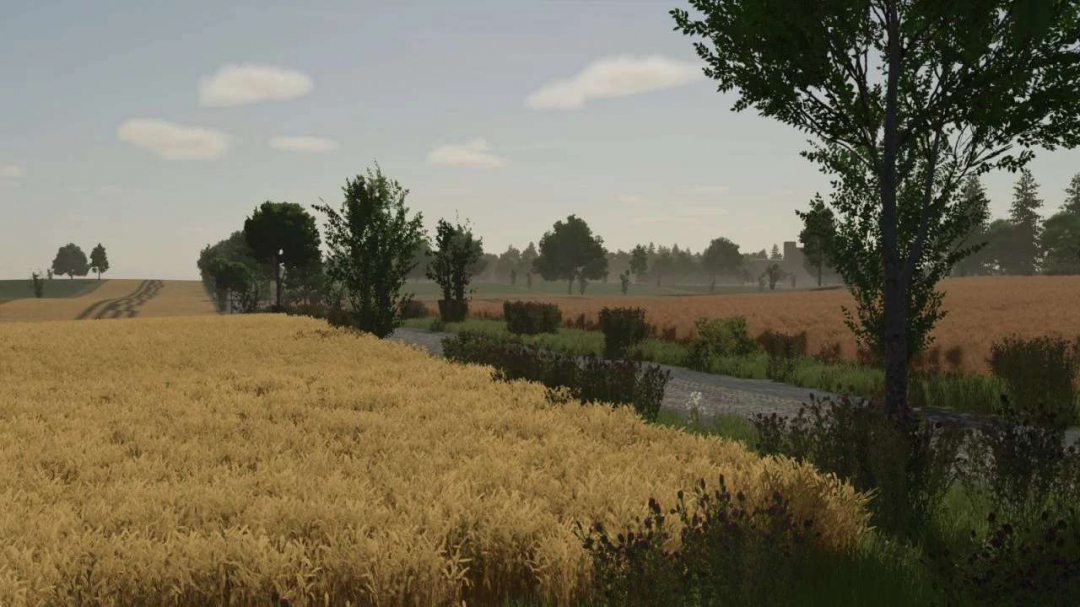 Borowiny v1.0