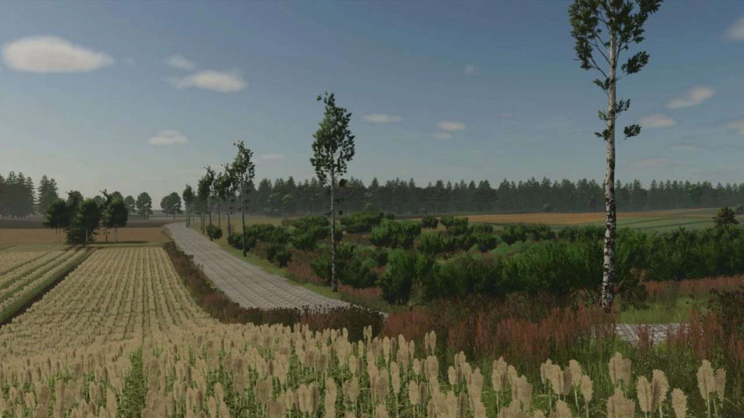 Borowiny v1.0