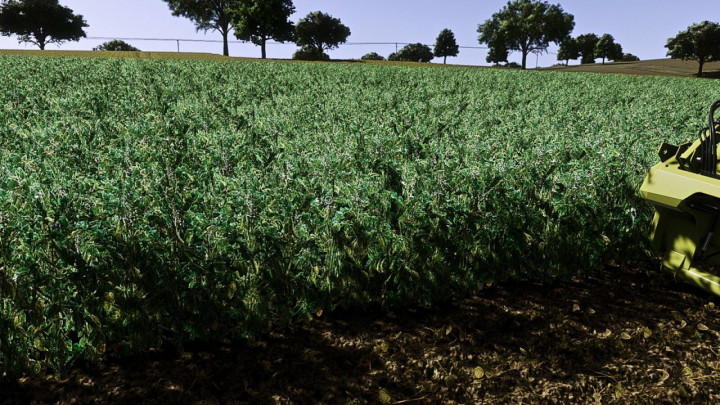 fs25-mods,  Faba Beans (Prefab) V1.0