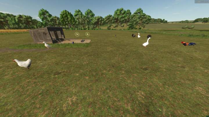 fs25-mods, New Animals (Goose, Duck, Turkey, and Rabbit) V1.1.1