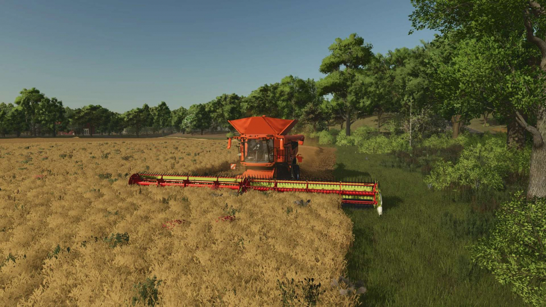 Claas Lexion 8000 – DF Industries Edition v1.0 thumbnail 4