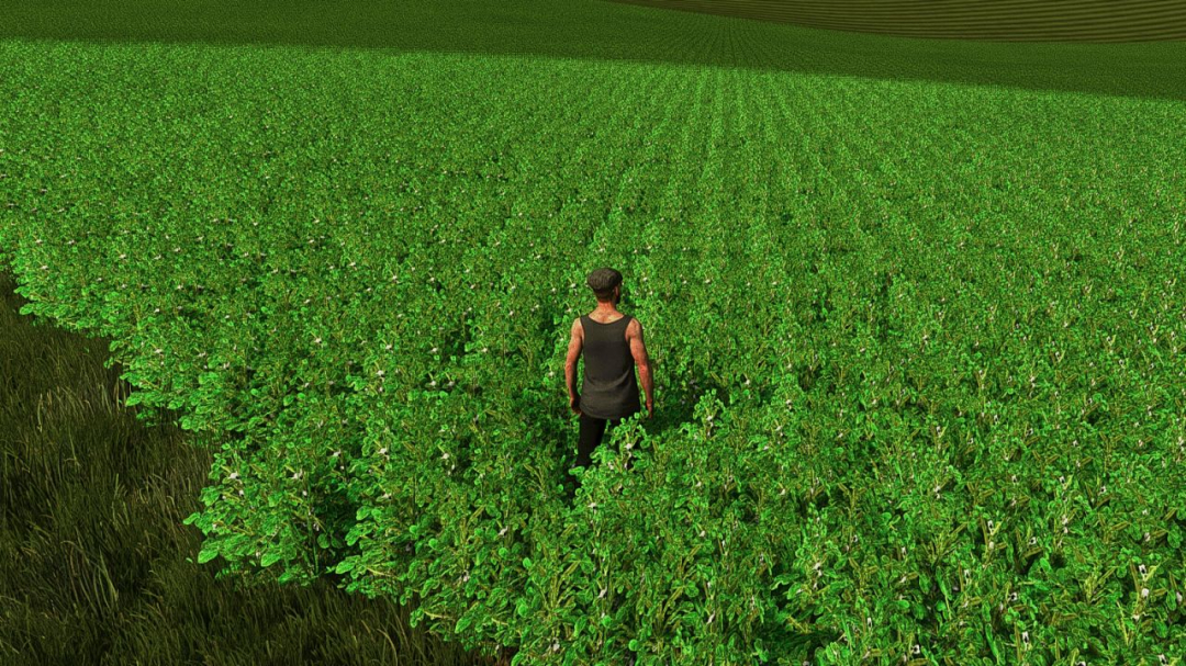 Faba Beans (Prefab) V1.0