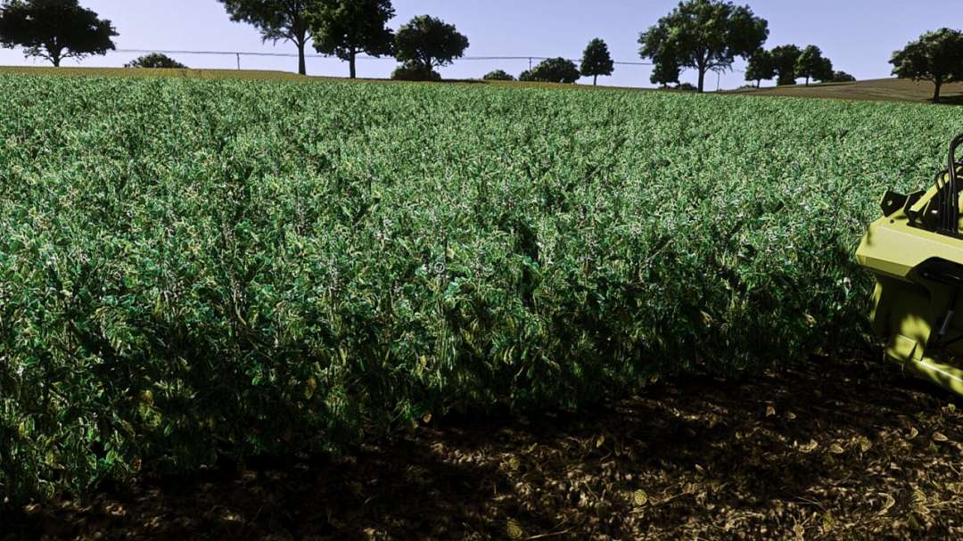 Faba Beans (Prefab) V1.0