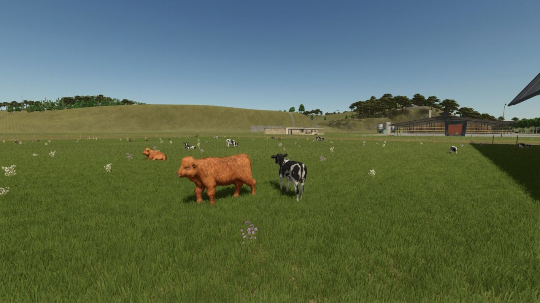 Storefront Stable Options For Husbandry V1.0