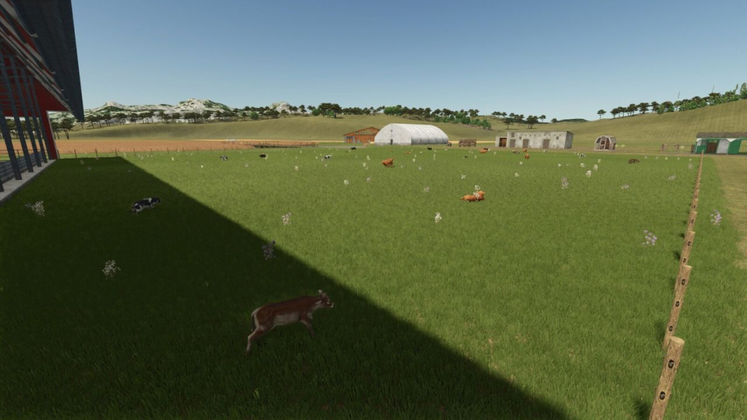 Storefront Stable Options For Husbandry V1.0