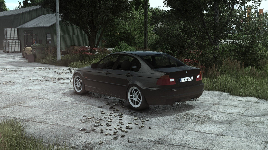 BMW E46 V1.0.0.3