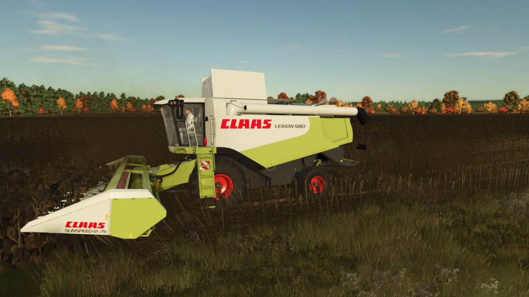 High-resolution texture of cut sunflower V1.0