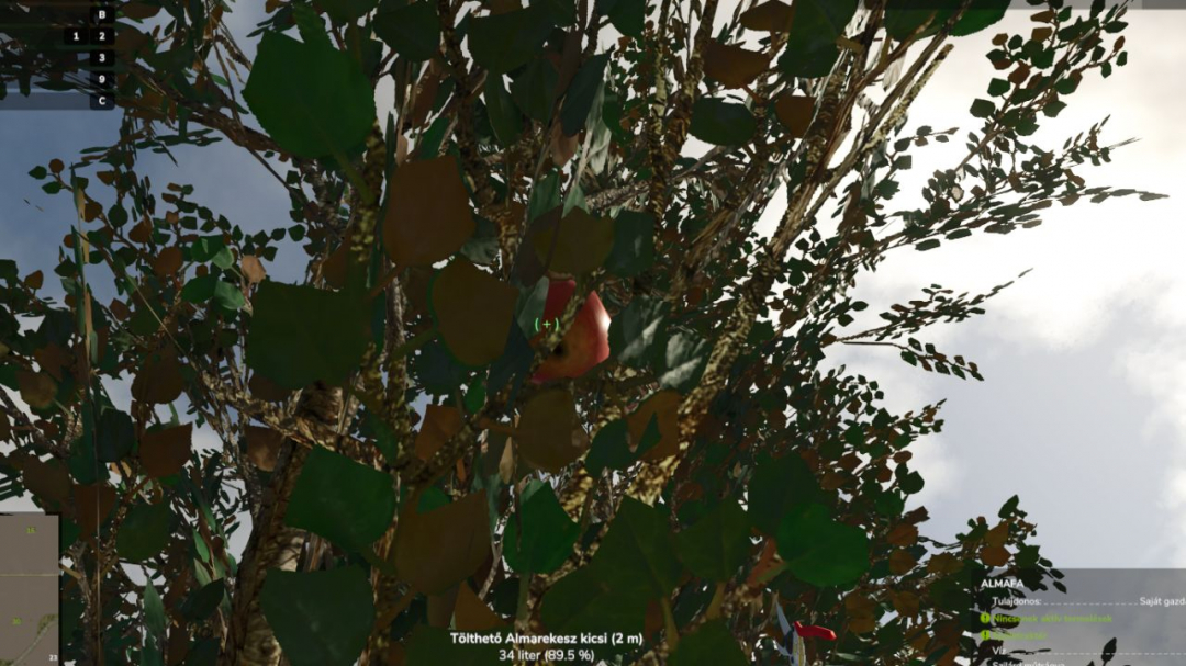 New Apple Tree V1.0