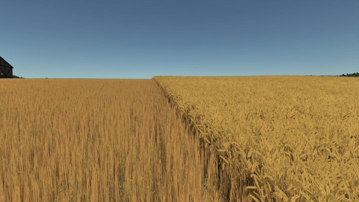 fs25-mods,  Improved Wheat XML V1.0.0.2