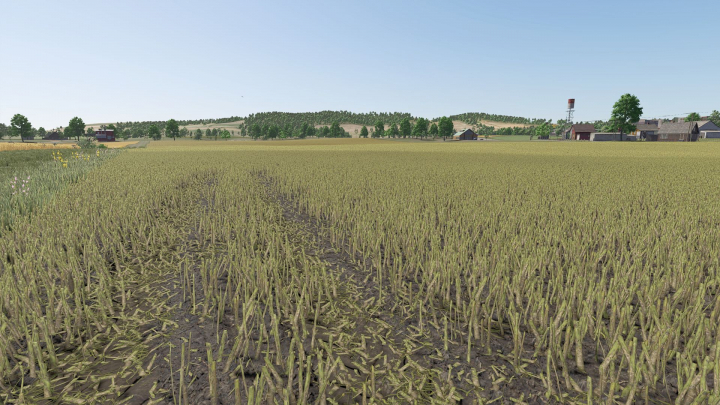 fs25-mods,  Improved rapeseed plants V1.0.0.1