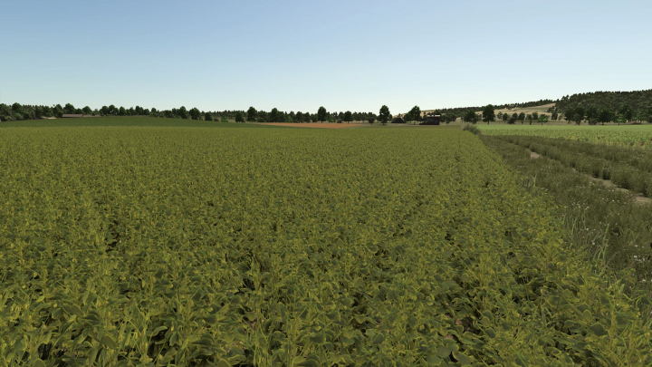 fs25-mods, Improved soybean plants V1.0.0.1