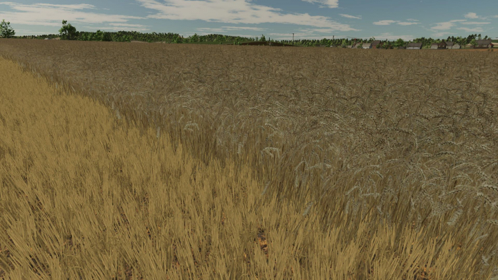 fs25-mods,  Realistic texture of ripe wheat V1.0