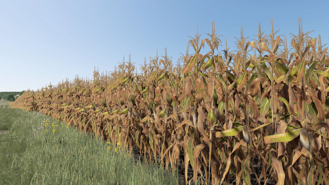 Improved Corn Plants (Second Version) V1.0.0.6