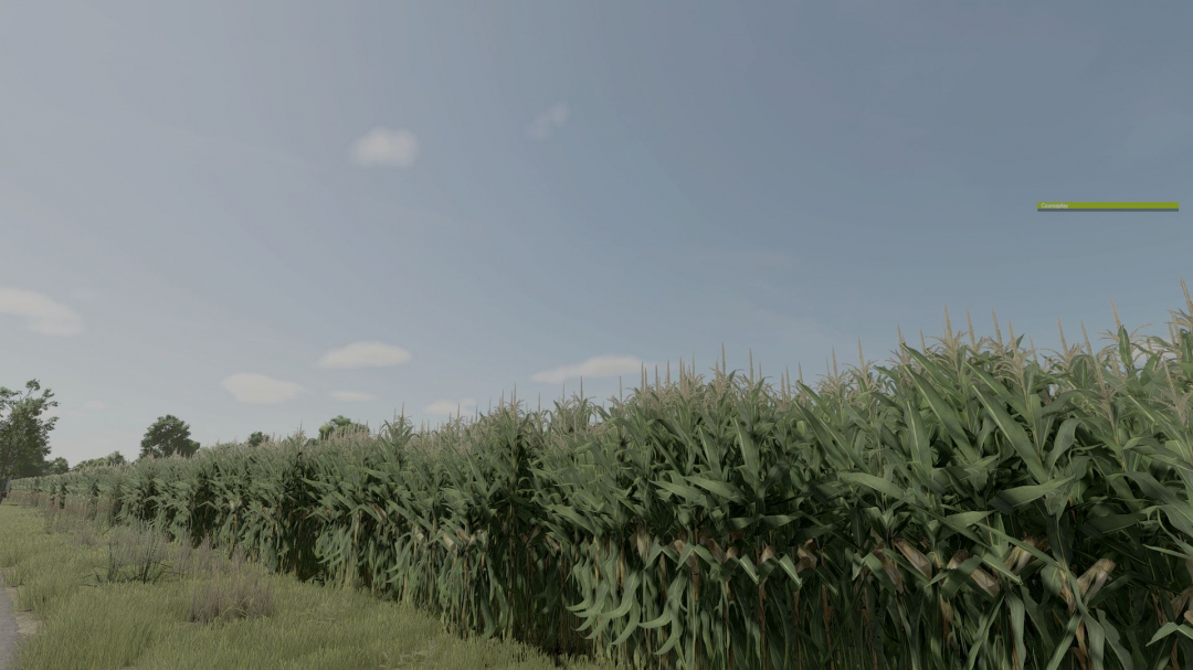 Improved Corn Plants Three V1.0.0.2
