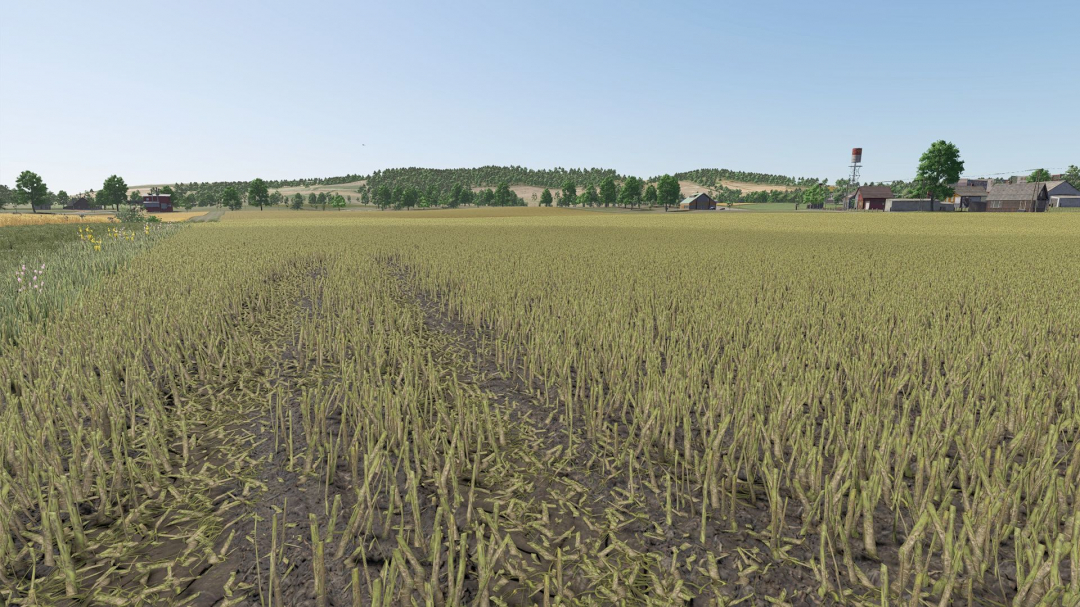 Improved rapeseed plants V1.0.0.1