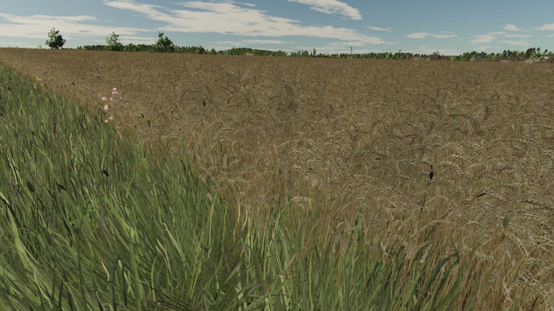 Realistic texture of ripe wheat V1.0