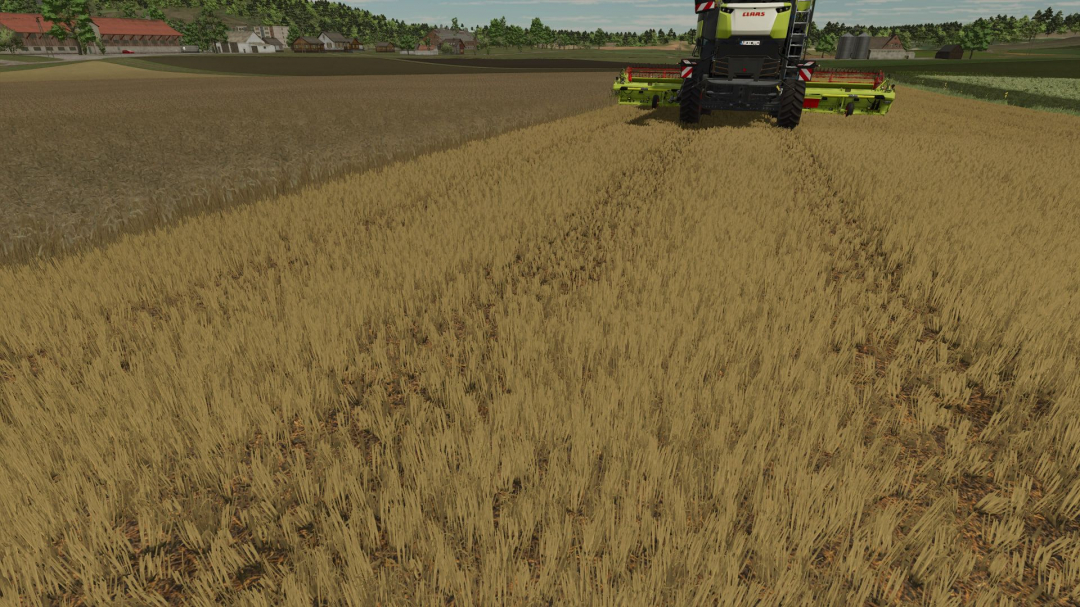 Realistic texture of ripe wheat V1.0
