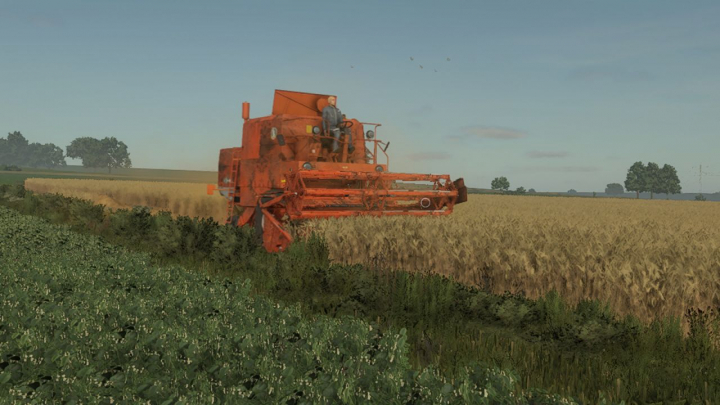 fs25-mods,  Bizon Z056 (rusty) V1.0